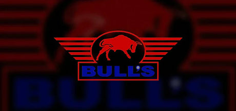 BULL'S Termote Dartboard Light