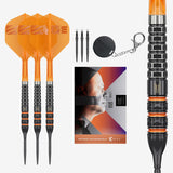 Target Raymond van Barneveld Darts - Steel Tip - 95% Tungsten - 95K