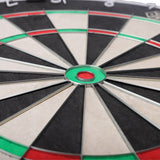 Caliburn Avalon Dartboard - Professional - WDF Approved