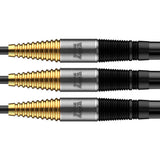 Bulls Massimo Dalla-Rosa Darts - Steel Tip - 90% Tungsten - 20g