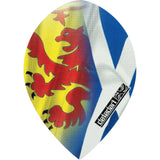 *Datadart Dart Flights - CMF Designs - Pear - Scotland