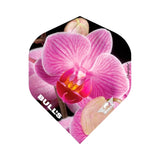 *Bulls Powerflite Dart Flights - 100 - Std - Orchid
