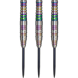 Cosmo Darts - Discovery Label - Steel Tip - Royden Lam - Rainbow - 22g 22g